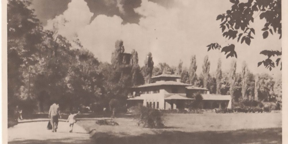 cotroceni gradina botanica 1958