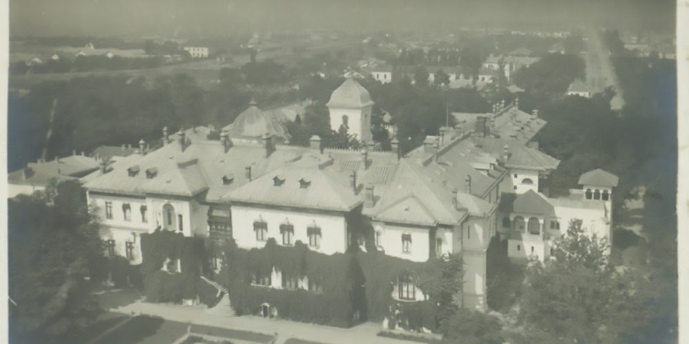 palatul cotroceni vedere aeriana