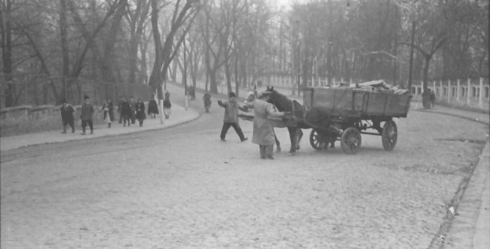 willy pragher - gradina botanica cotroceni noiembrie 1941