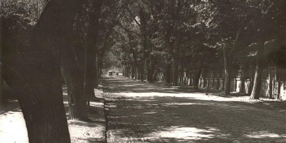 Bucuresti Bucuresci Fotografii imagini poze vechi Şoseaua Cotroceni anul 1922 - fotograf Nicolae Ionescu