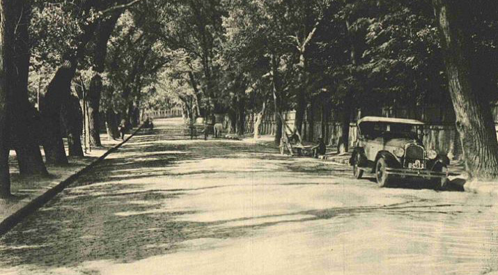 foto soseaua cotroceni in anii 1920 - cartier cotroceni poze fotografii imagini cadre instantanee vechi