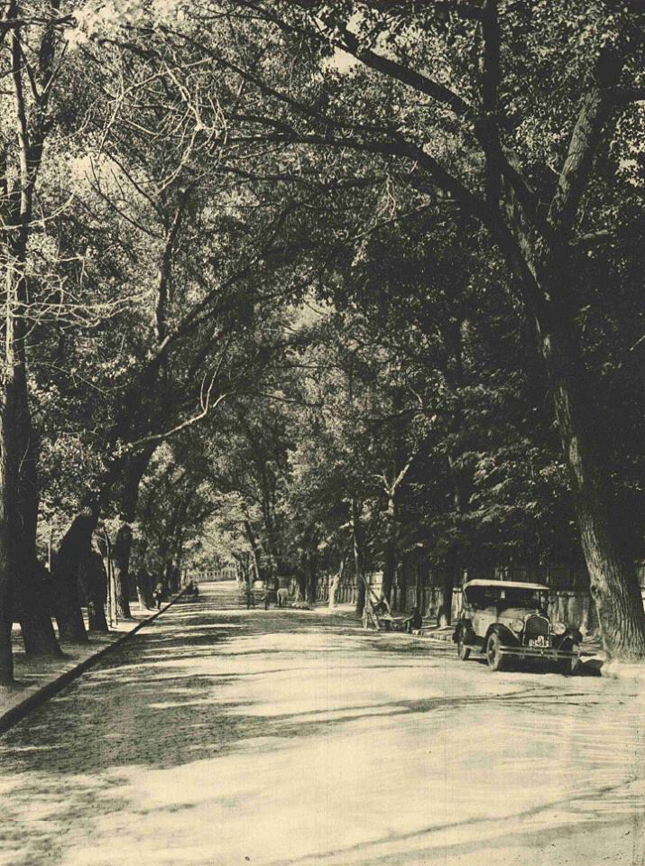 soseaua cotroceni in anii 1920 - cartier cotroceni poze fotografii imagini cadre instantanee vechi