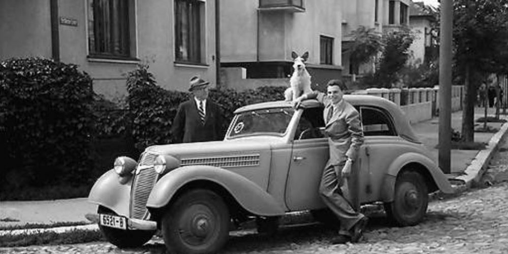 poze imagini cadre fotografii vechi bucuresti interbelic cartier cotroceni anul 1941 fotograf willy pragher strada doctor grecescu cu doctor lister