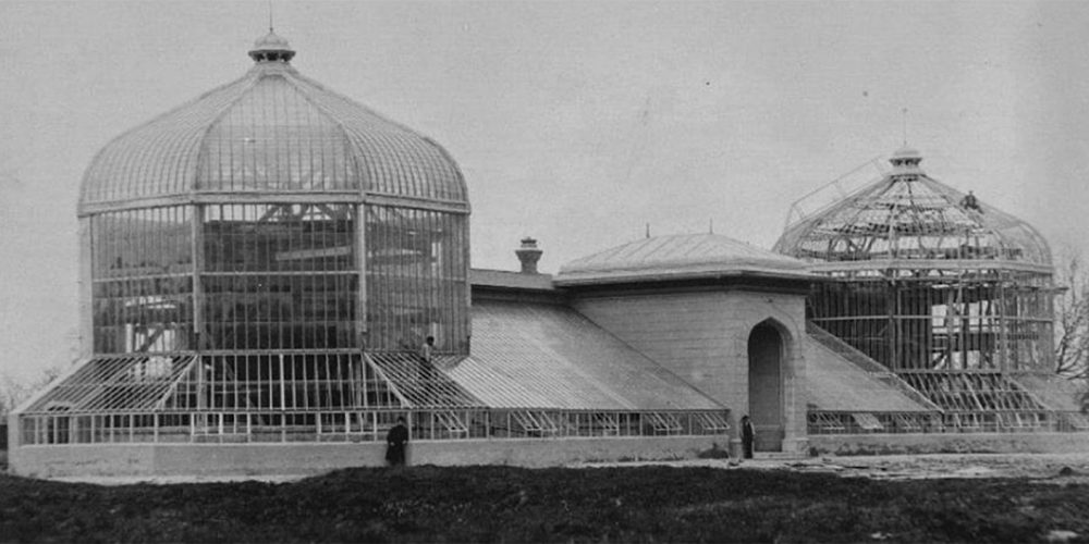 constructia serelor din gradina botanica bucuresti perioada postbelica cartierul cotroceni istorie